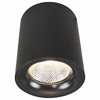 Накладной потолочный светильник Arte Lamp арт. A5118PL-1BK