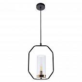 Подвесной светильник Arte Lamp Celaeno A7004SP-1BK